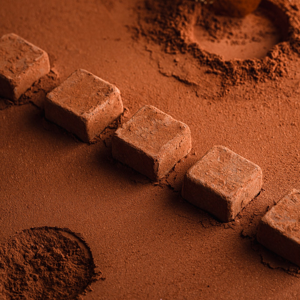 Les Pavés du Chemin de la Chocolaterie 2 - 16pcs - 160g